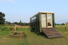 Slapen tussen de paarden